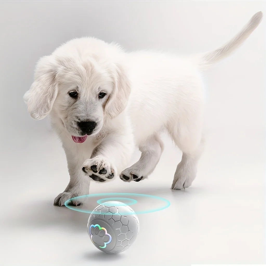 Pelota Inteligente Interactiva para Perros y Gatos