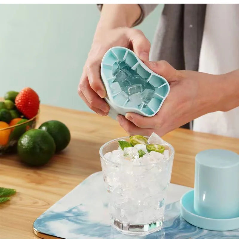 Molde de silicona para cubitos de hielo.