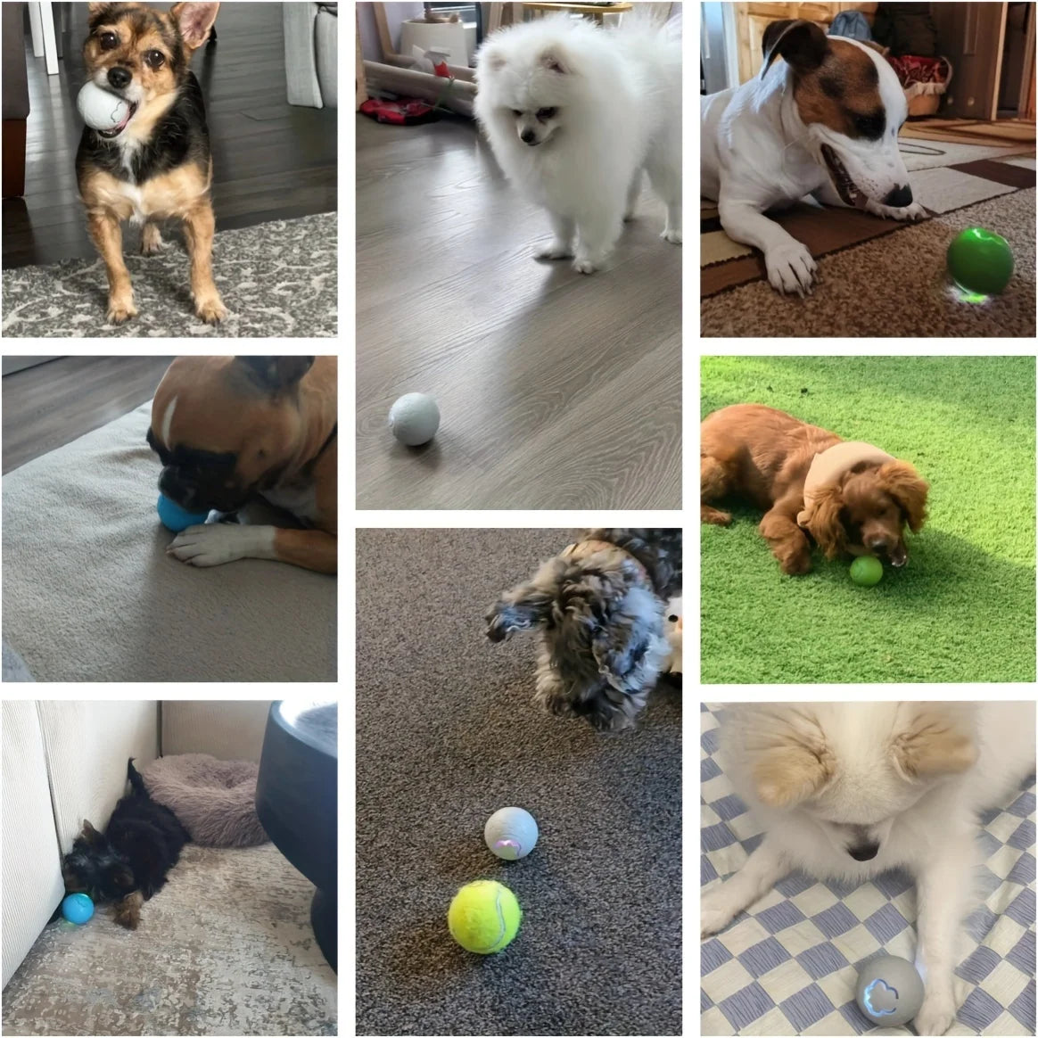 Pelota Inteligente Interactiva para Perros y Gatos
